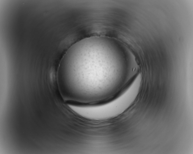 X0000094230623200711091315