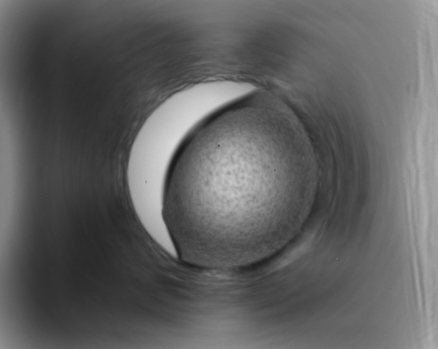 X0000094230624200711091315