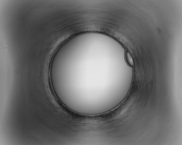 X0000094230625200711091314