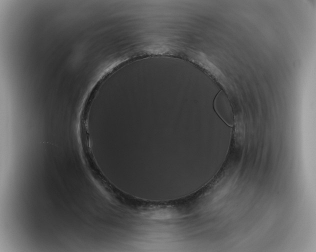 X0000094230626200711091314