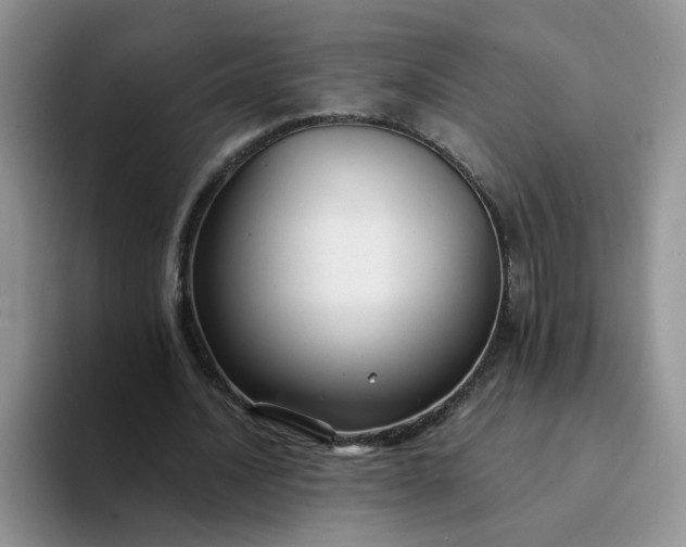 X0000094230628200711091314