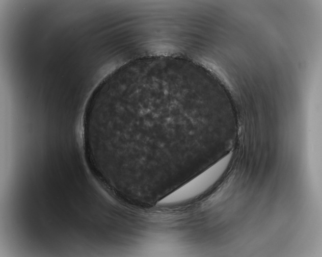 X0000094230630200711091314