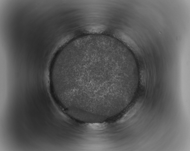 X0000094230634200711091315