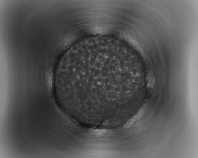 X0000094230637200711091315