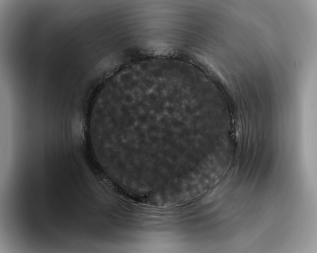 X0000094230643200711091315