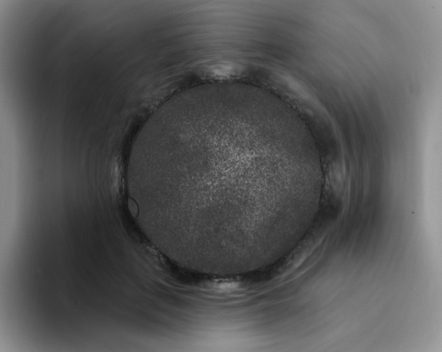 X0000094230651200711091315