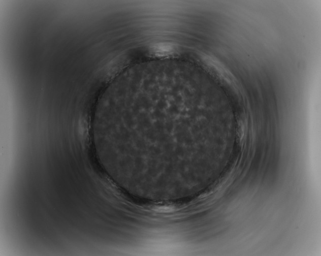 X0000094230653200711091315