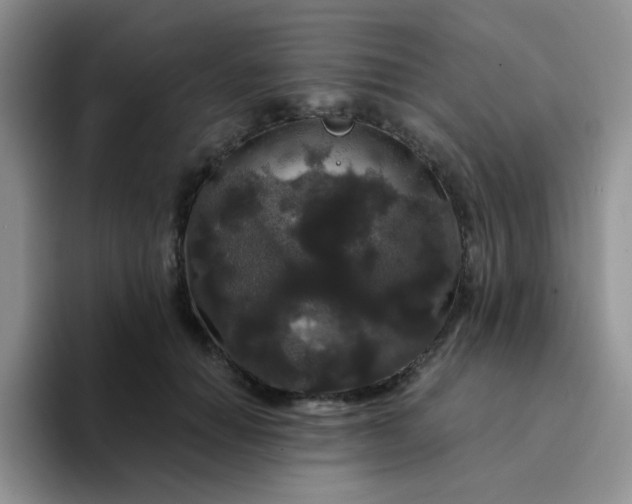 X0000094230654200711091315