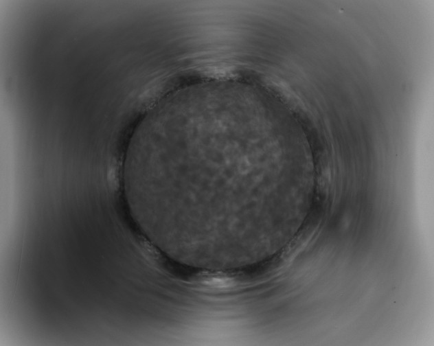 X0000094230658200711091315