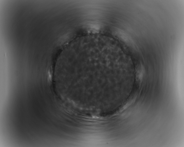 X0000094230661200711091315