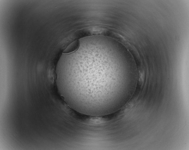 X0000094230666200711091315