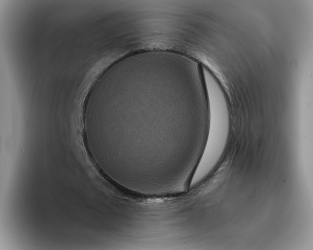 X0000094230673200711091314