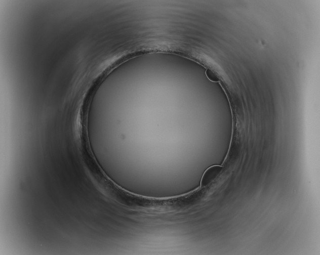 X0000094230674200711091314