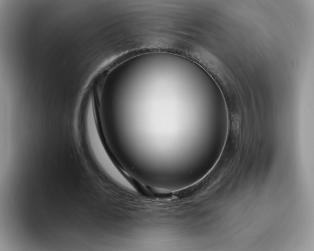 X0000094230676200711091314