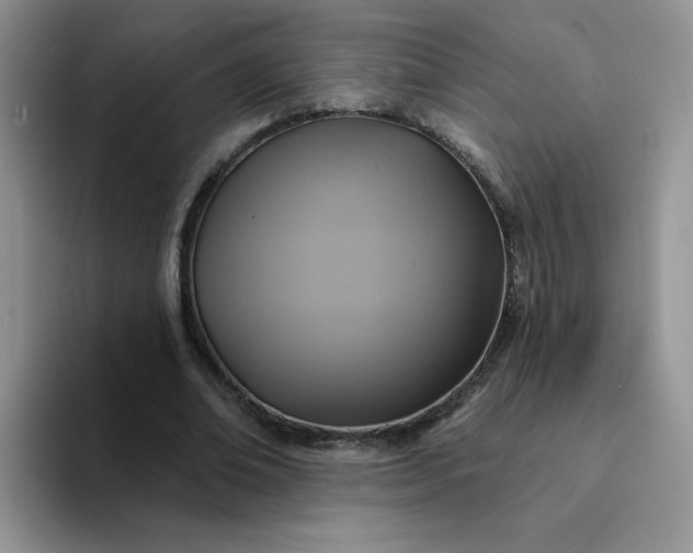 X0000094230678200711091314