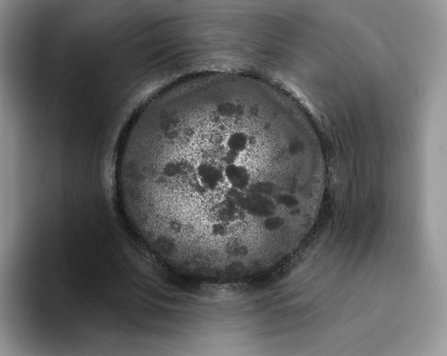 X0000094230679200711091314