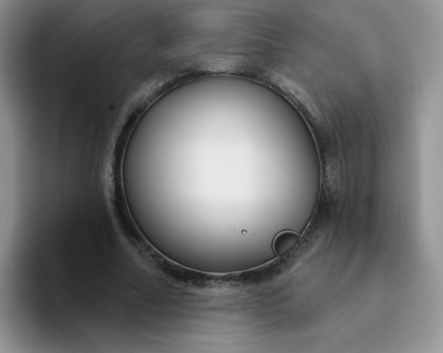 X0000094230682200711091314