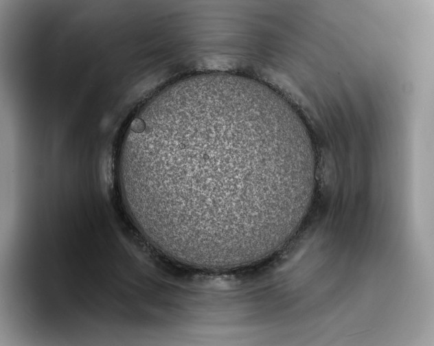 X0000094230683200711091314