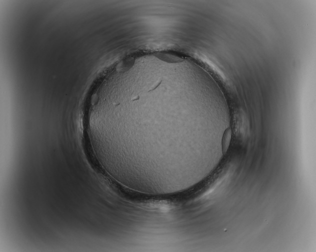 X0000094230685200711091314