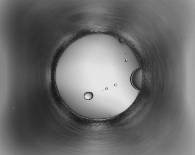 X0000094230686200711091314