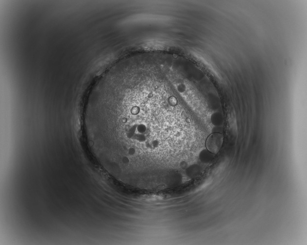 X0000094230687200711091314