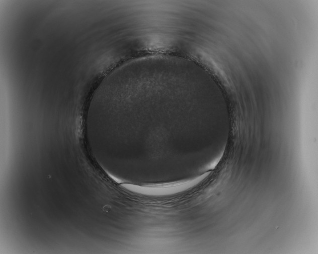 X0000094230689200711091314