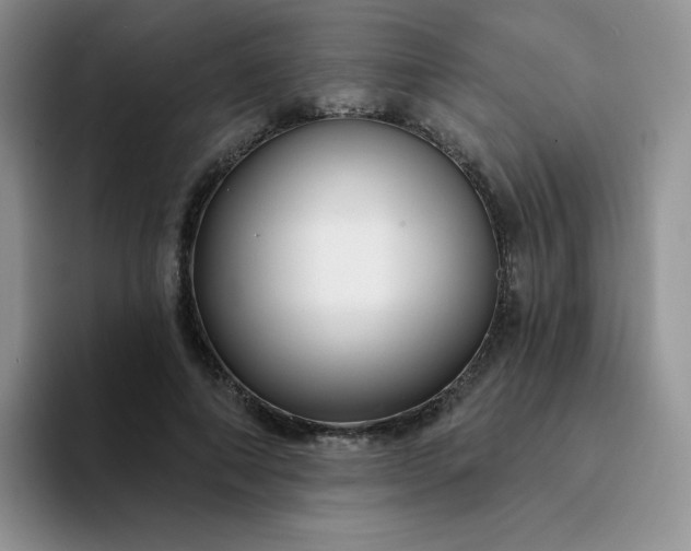 X0000094230690200711091314