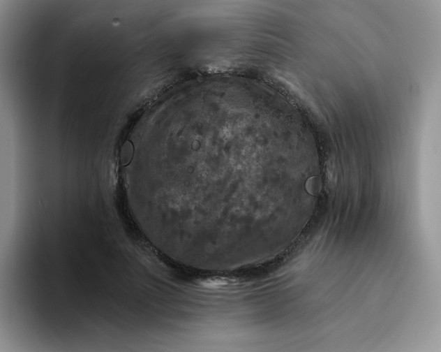 X0000094230691200711091314