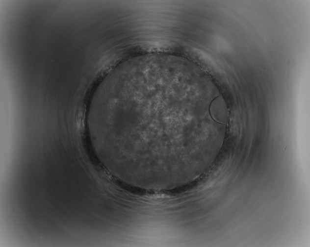 X0000094230695200711091314