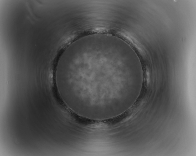 X0000094230696200711091314