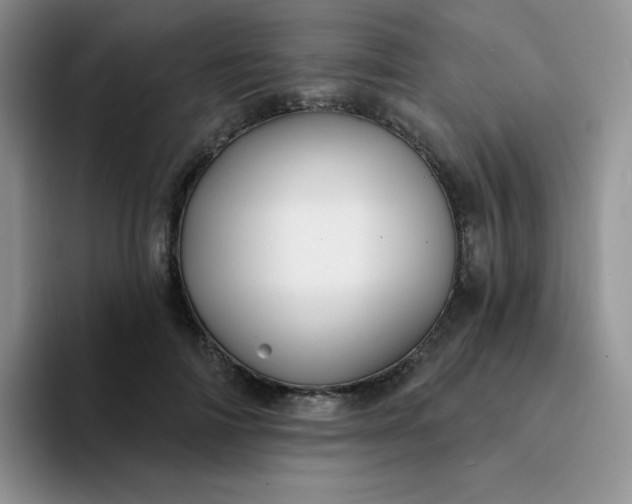 X0000094230698200711091314