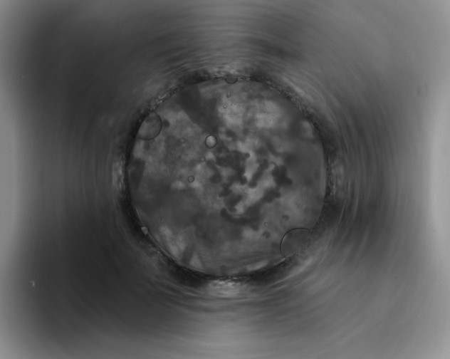 X0000094230699200711091314