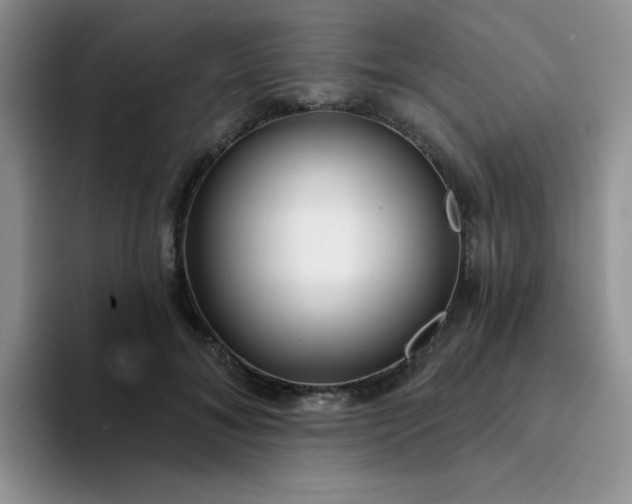 X0000094230700200711091314