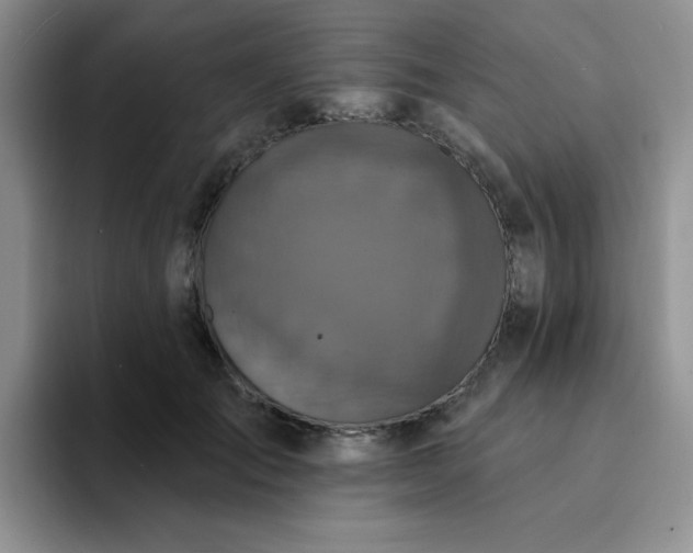 X0000094230701200711091314