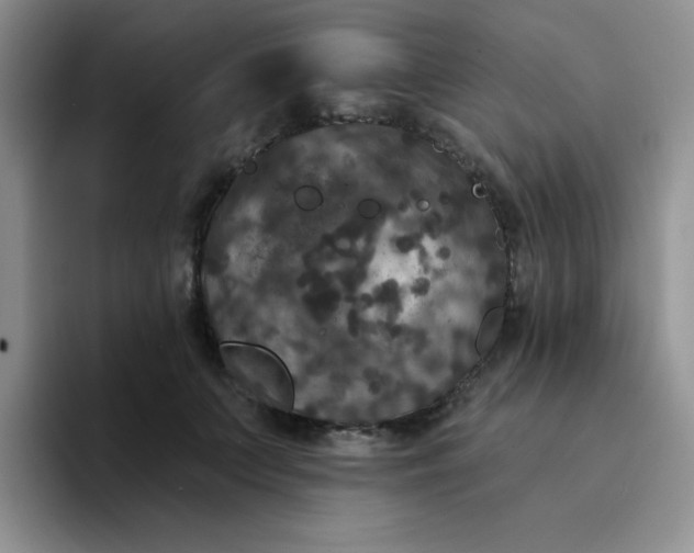 X0000094230703200711091314