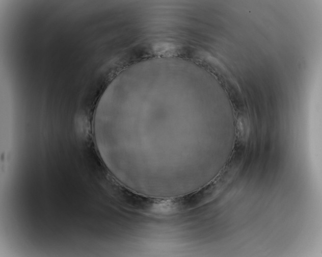 X0000094230705200711091314