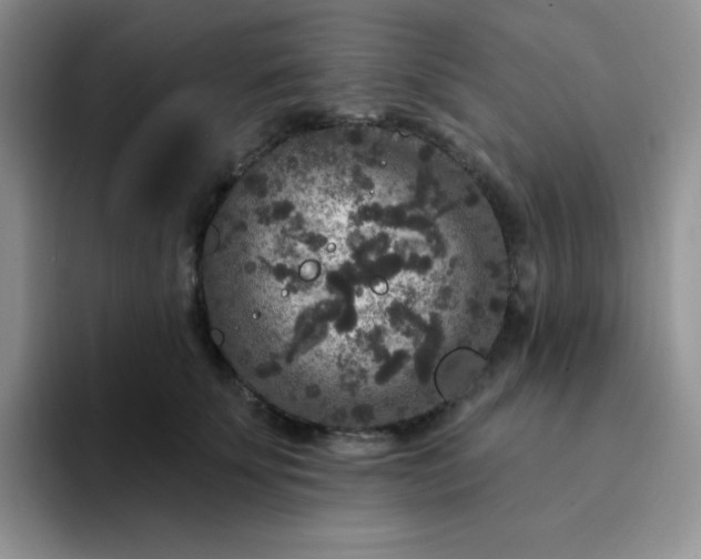 X0000094230707200711091314