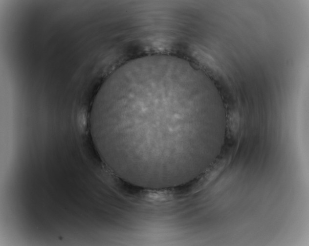 X0000094230709200711091314