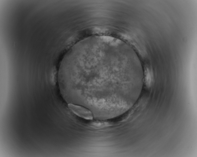 X0000094230712200711091314