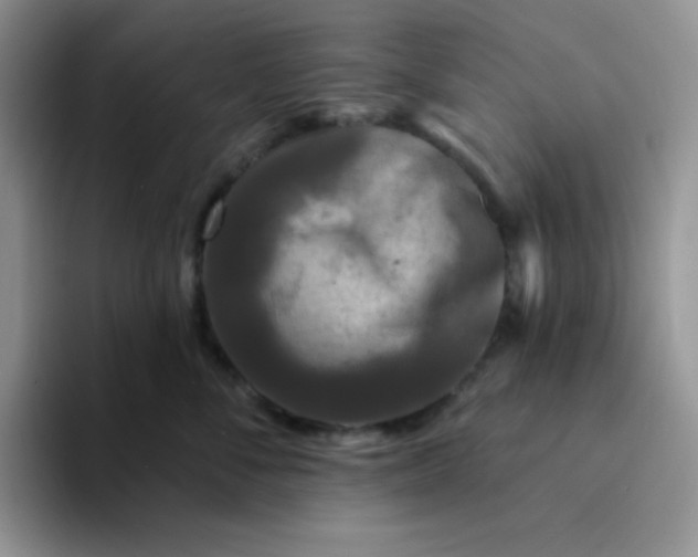 X0000094230716200711091314