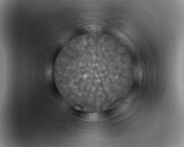 X0000094230717200711091314