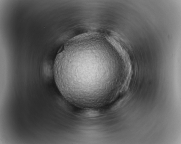 X0000094230719200711091314