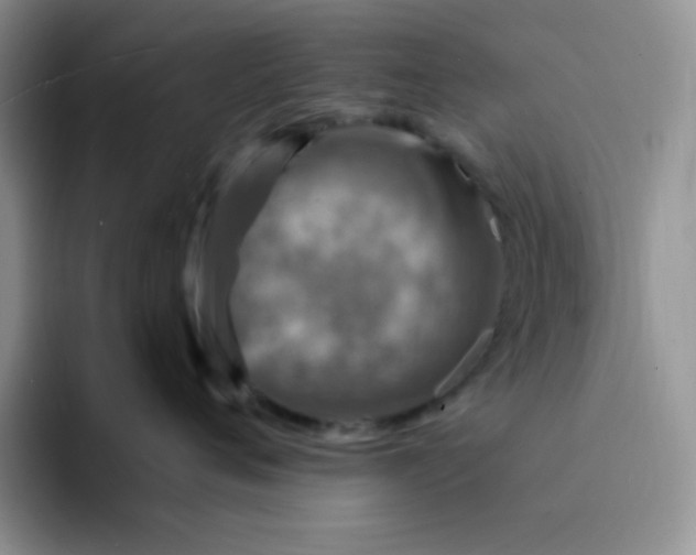 X0000094230720200711091314