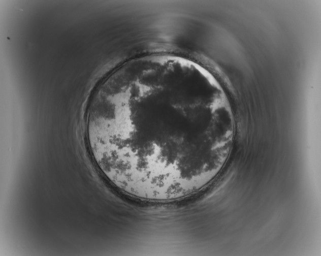 X0000094230721200711091313