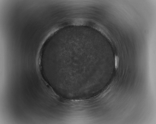 X0000094230723200711091313