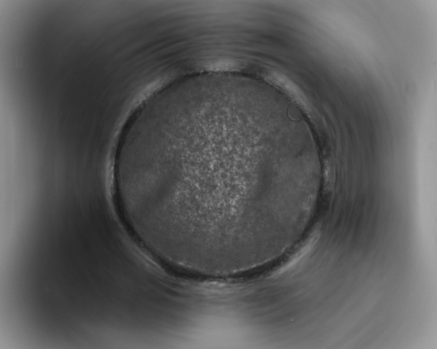 X0000094230725200711091313