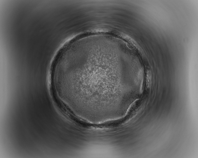 X0000094230726200711091313