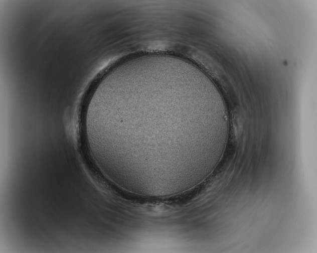 X0000094230728200711091313