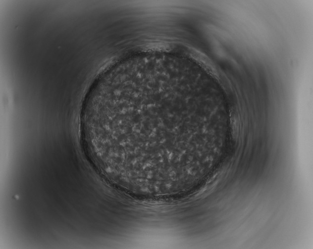 X0000094230729200711091313