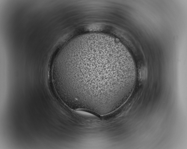 X0000094230733200711091313